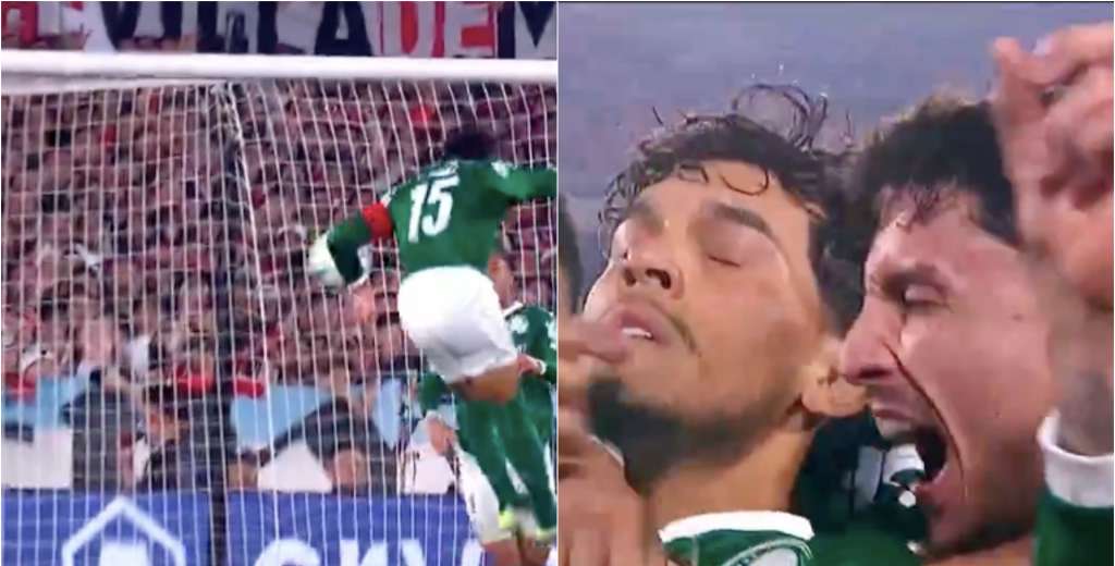 Palmeiras golpeó primero: Gustavo Gómez quedó solo y fusiló a Franco Armani...